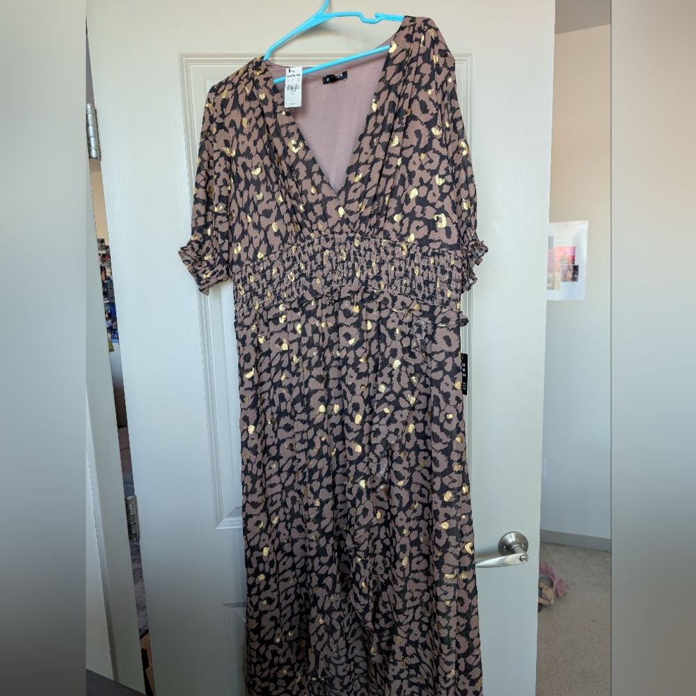 Express Leopard Print V-Neck Dress